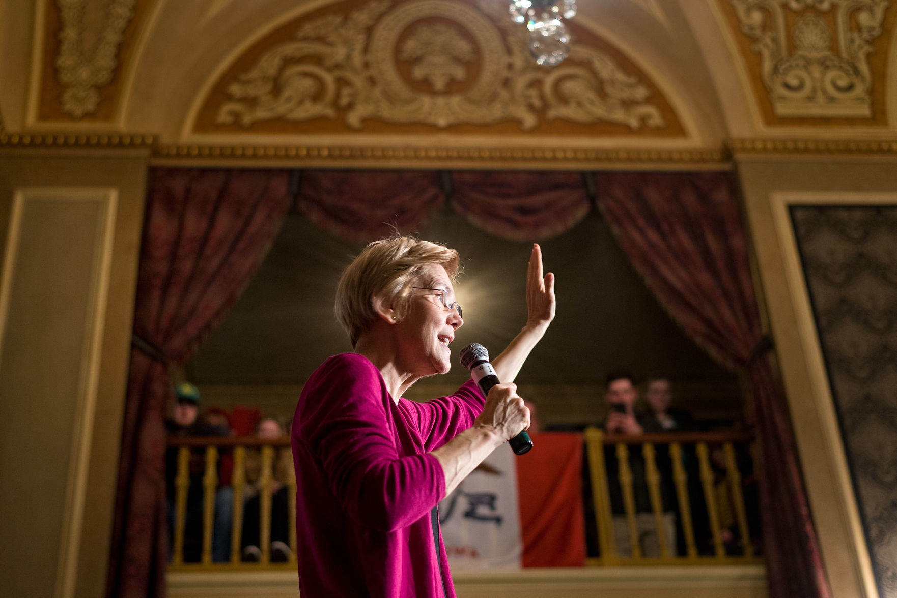 DEM Elizabeth Warren